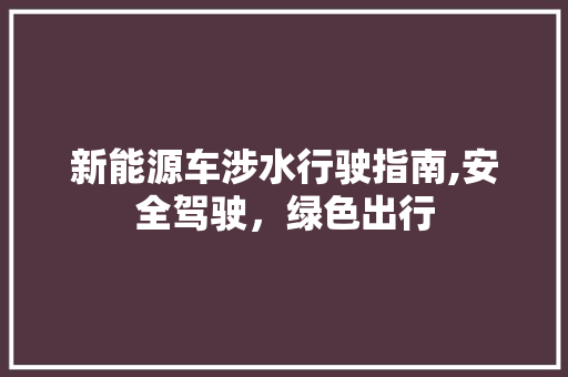 新能源车涉水行驶指南,安全驾驶，绿色出行