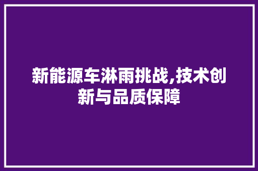 新能源车淋雨挑战,技术创新与品质保障