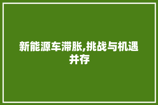 新能源车滞胀,挑战与机遇并存