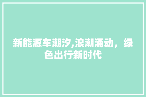 新能源车潮汐,浪潮涌动，绿色出行新时代