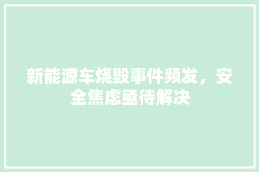 新能源车烧毁事件频发，安全焦虑亟待解决