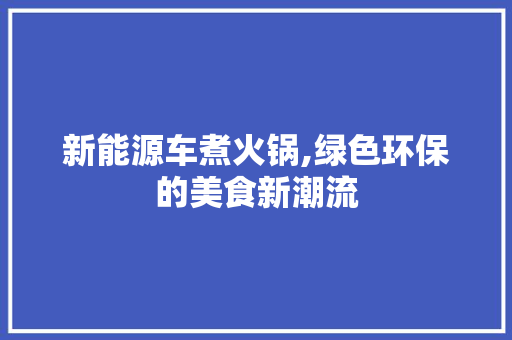 新能源车煮火锅,绿色环保的美食新潮流