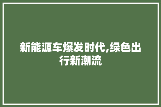 新能源车爆发时代,绿色出行新潮流