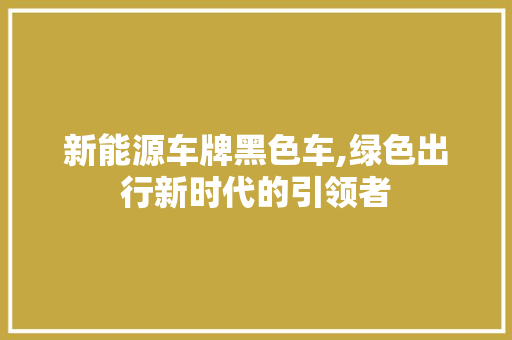 新能源车牌黑色车,绿色出行新时代的引领者