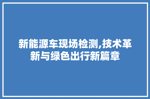 新能源车现场检测,技术革新与绿色出行新篇章