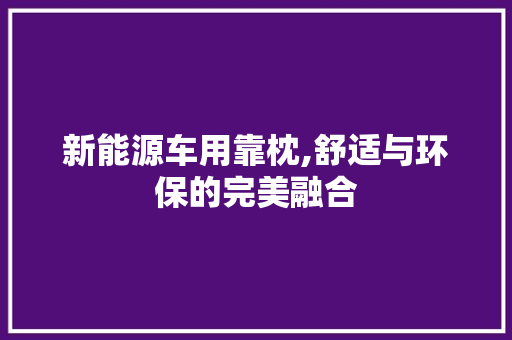 新能源车用靠枕,舒适与环保的完美融合