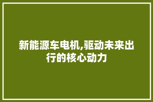 新能源车电机,驱动未来出行的核心动力