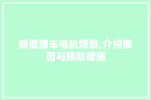 新能源车电机烧毁,介绍原因与预防措施