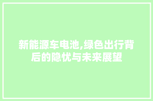 新能源车电池,绿色出行背后的隐忧与未来展望