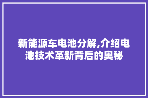 新能源车电池分解,介绍电池技术革新背后的奥秘