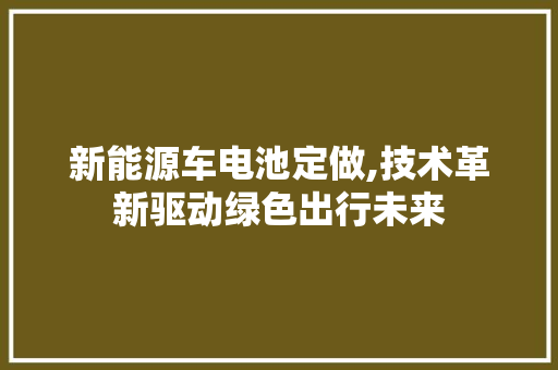 新能源车电池定做,技术革新驱动绿色出行未来