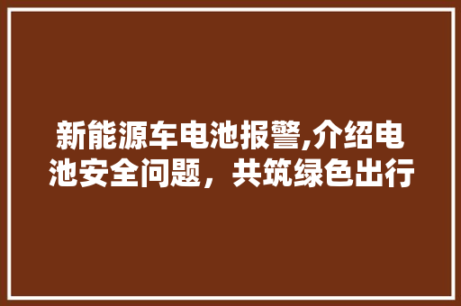 新能源车电池报警,介绍电池安全问题，共筑绿色出行未来  第1张