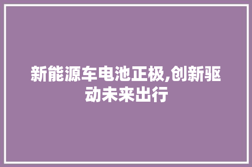 新能源车电池正极,创新驱动未来出行