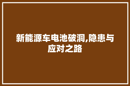 新能源车电池破洞,隐患与应对之路