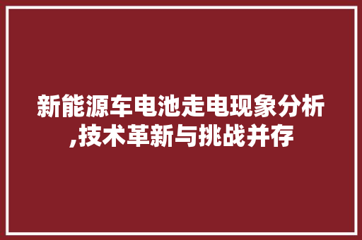 新能源车电池走电现象分析,技术革新与挑战并存