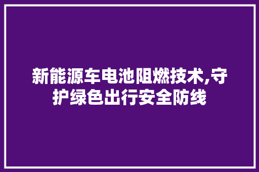 新能源车电池阻燃技术,守护绿色出行安全防线