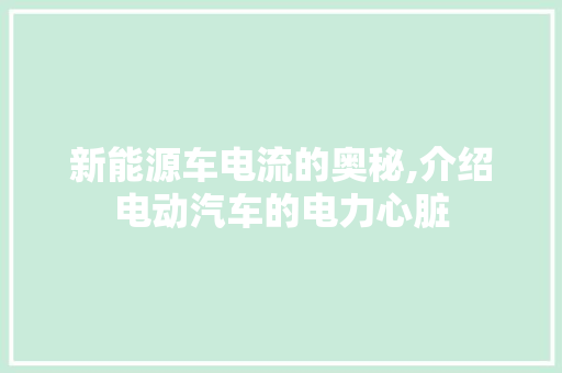 新能源车电流的奥秘,介绍电动汽车的电力心脏