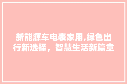 新能源车电表家用,绿色出行新选择，智慧生活新篇章