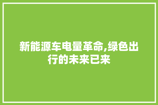 新能源车电量革命,绿色出行的未来已来