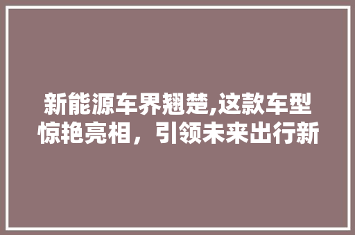 新能源车界翘楚,这款车型惊艳亮相，引领未来出行新风尚