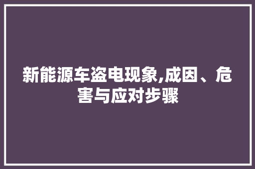 新能源车盗电现象,成因、危害与应对步骤