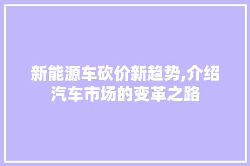 新能源车砍价新趋势,介绍汽车市场的变革之路