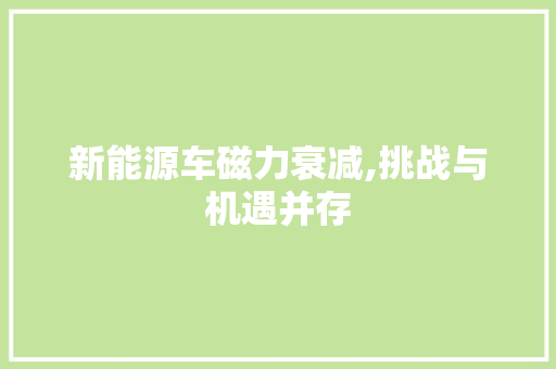 新能源车磁力衰减,挑战与机遇并存