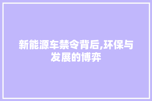 新能源车禁令背后,环保与发展的博弈