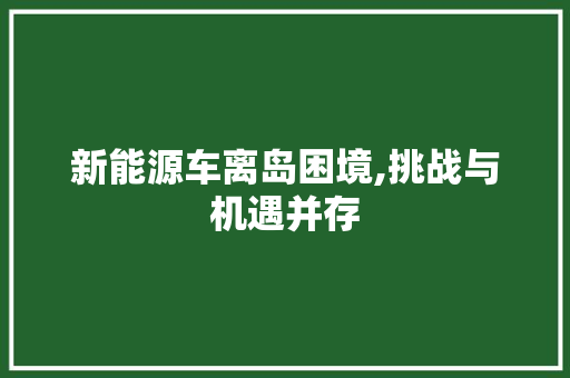 新能源车离岛困境,挑战与机遇并存