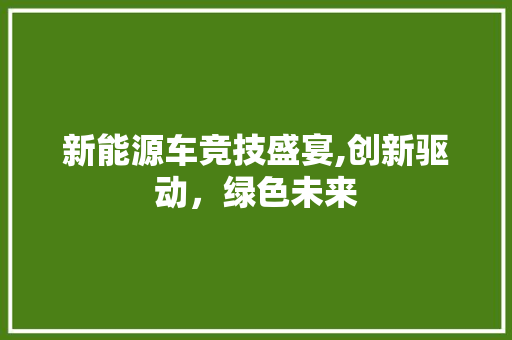 新能源车竞技盛宴,创新驱动，绿色未来