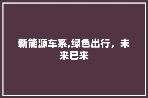 新能源车系,绿色出行，未来已来