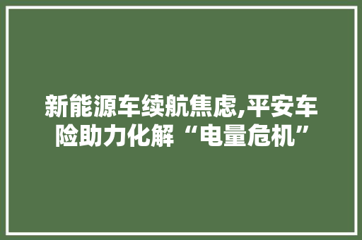 新能源车续航焦虑,平安车险助力化解“电量危机”