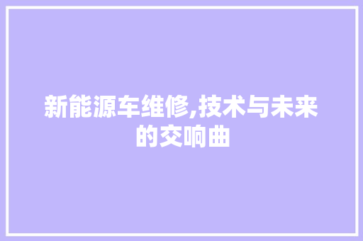 新能源车维修,技术与未来的交响曲