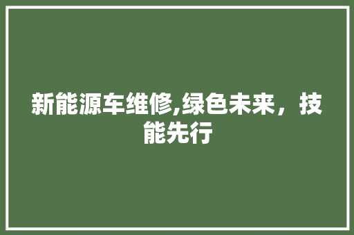 新能源车维修,绿色未来，技能先行