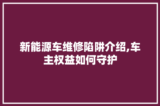 新能源车维修陷阱介绍,车主权益如何守护