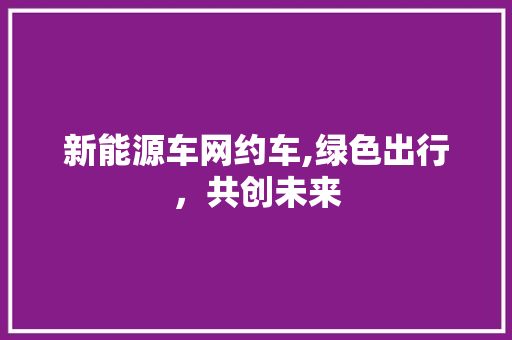 新能源车网约车,绿色出行，共创未来