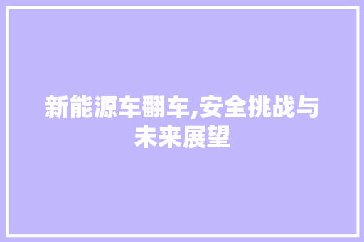 新能源车翻车,安全挑战与未来展望