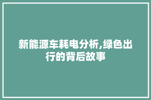 新能源车耗电分析,绿色出行的背后故事