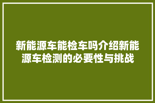 新能源车能检车吗介绍新能源车检测的必要性与挑战