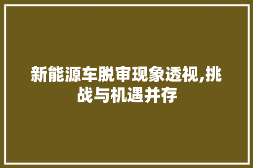 新能源车脱审现象透视,挑战与机遇并存