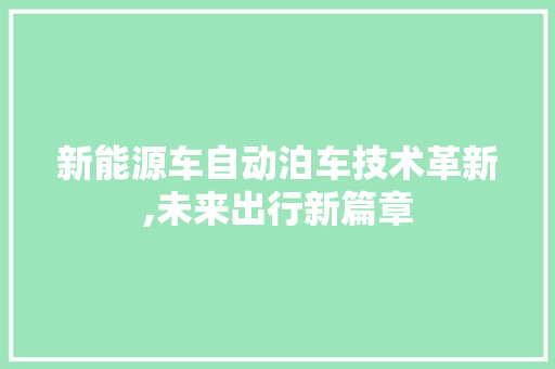 新能源车自动泊车技术革新,未来出行新篇章