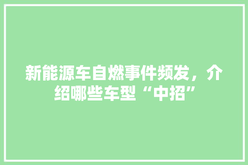 新能源车自燃事件频发，介绍哪些车型“中招”