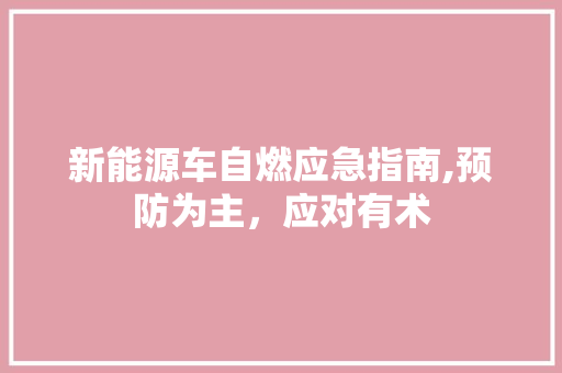 新能源车自燃应急指南,预防为主，应对有术