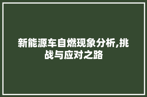 新能源车自燃现象分析,挑战与应对之路