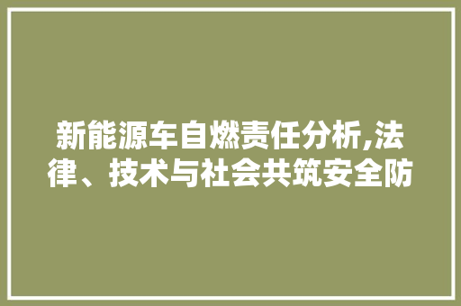 新能源车自燃责任分析,法律、技术与社会共筑安全防线