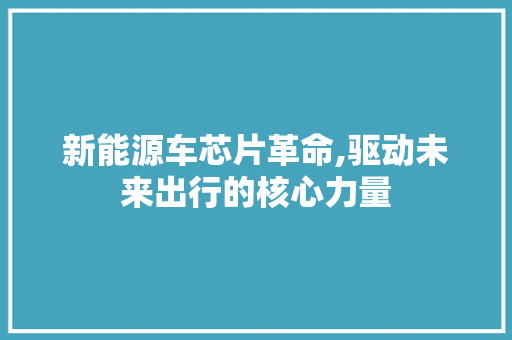 新能源车芯片革命,驱动未来出行的核心力量