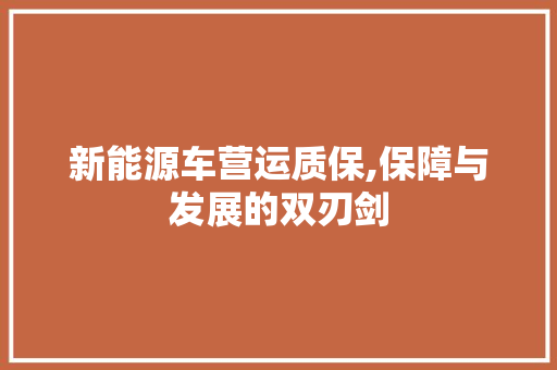 新能源车营运质保,保障与发展的双刃剑