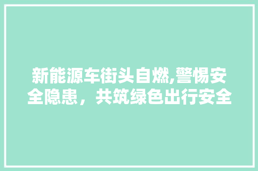 新能源车街头自燃,警惕安全隐患，共筑绿色出行安全防线