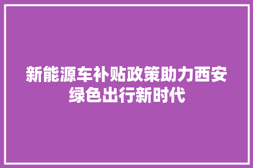 新能源车补贴政策助力西安绿色出行新时代  第1张