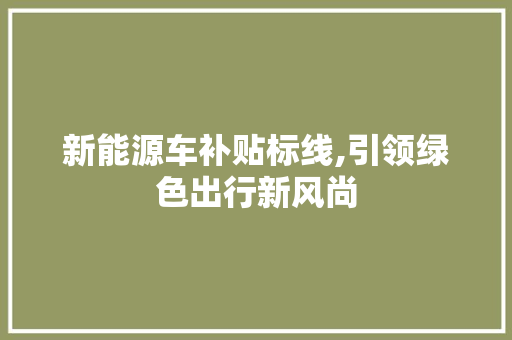 新能源车补贴标线,引领绿色出行新风尚